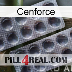 Cenforce 31